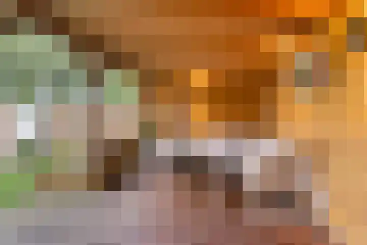 Ereprijs 17 Heerenveen thumbnail 29