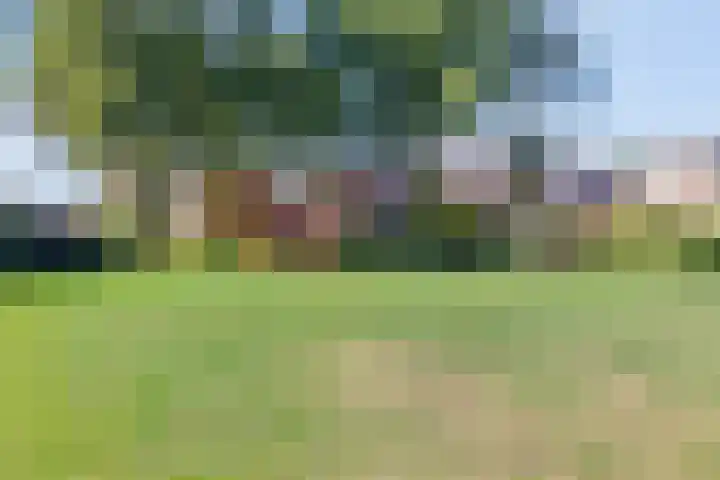 Ereprijs 17 Heerenveen thumbnail 30