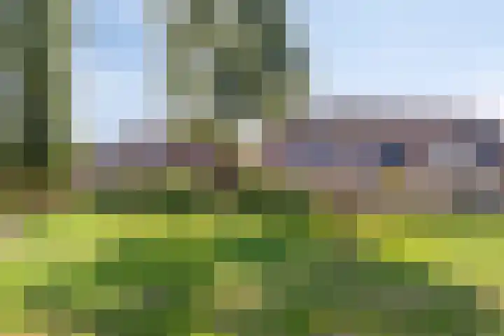 Ereprijs 17 Heerenveen thumbnail 31