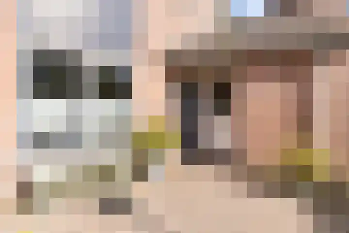 Ereprijs 17 Heerenveen thumbnail 4