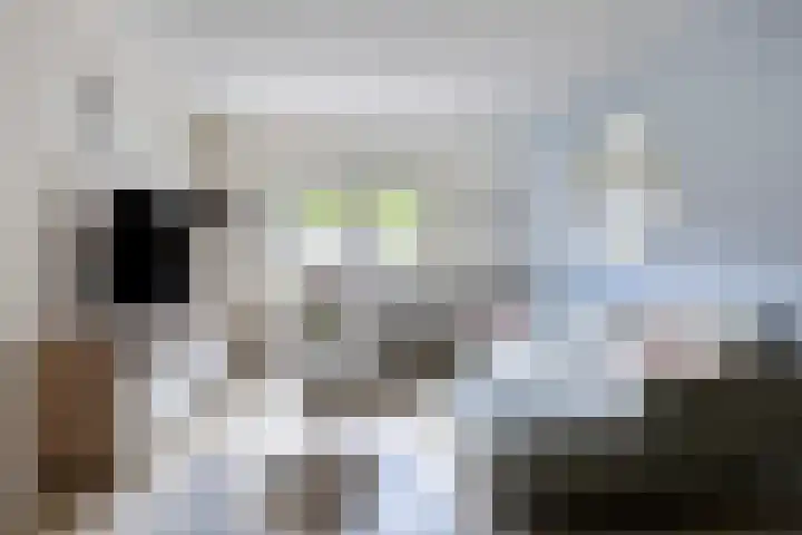 Ereprijs 17 Heerenveen thumbnail 7