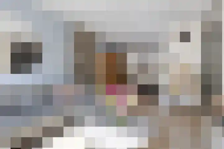 Ereprijs 17 Heerenveen thumbnail 9