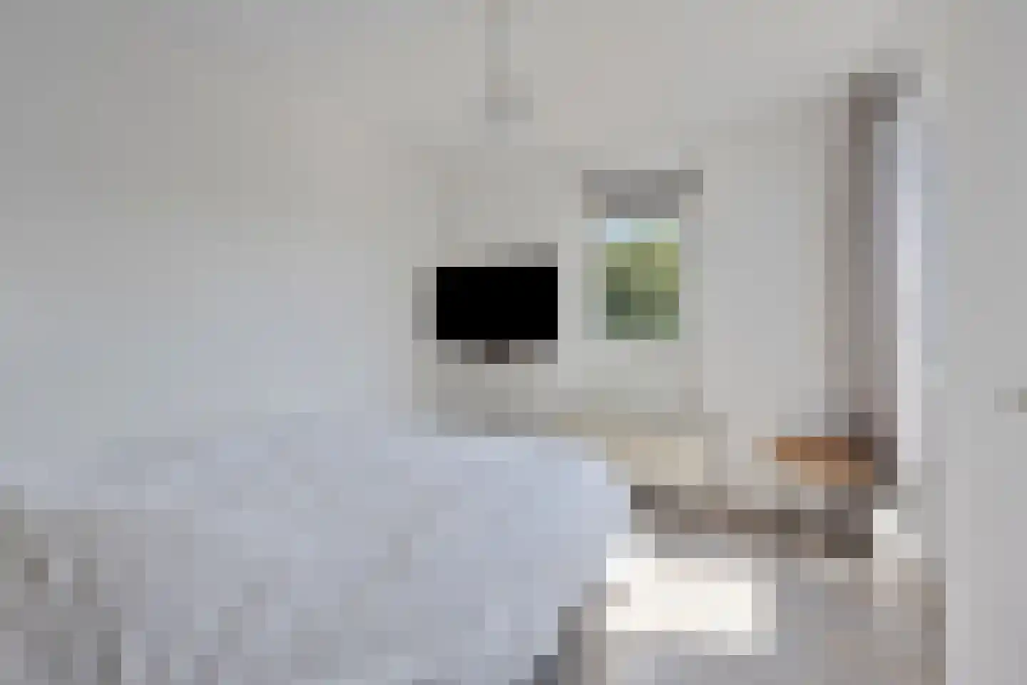 Ereprijs 17 Veenendaal thumbnail 12