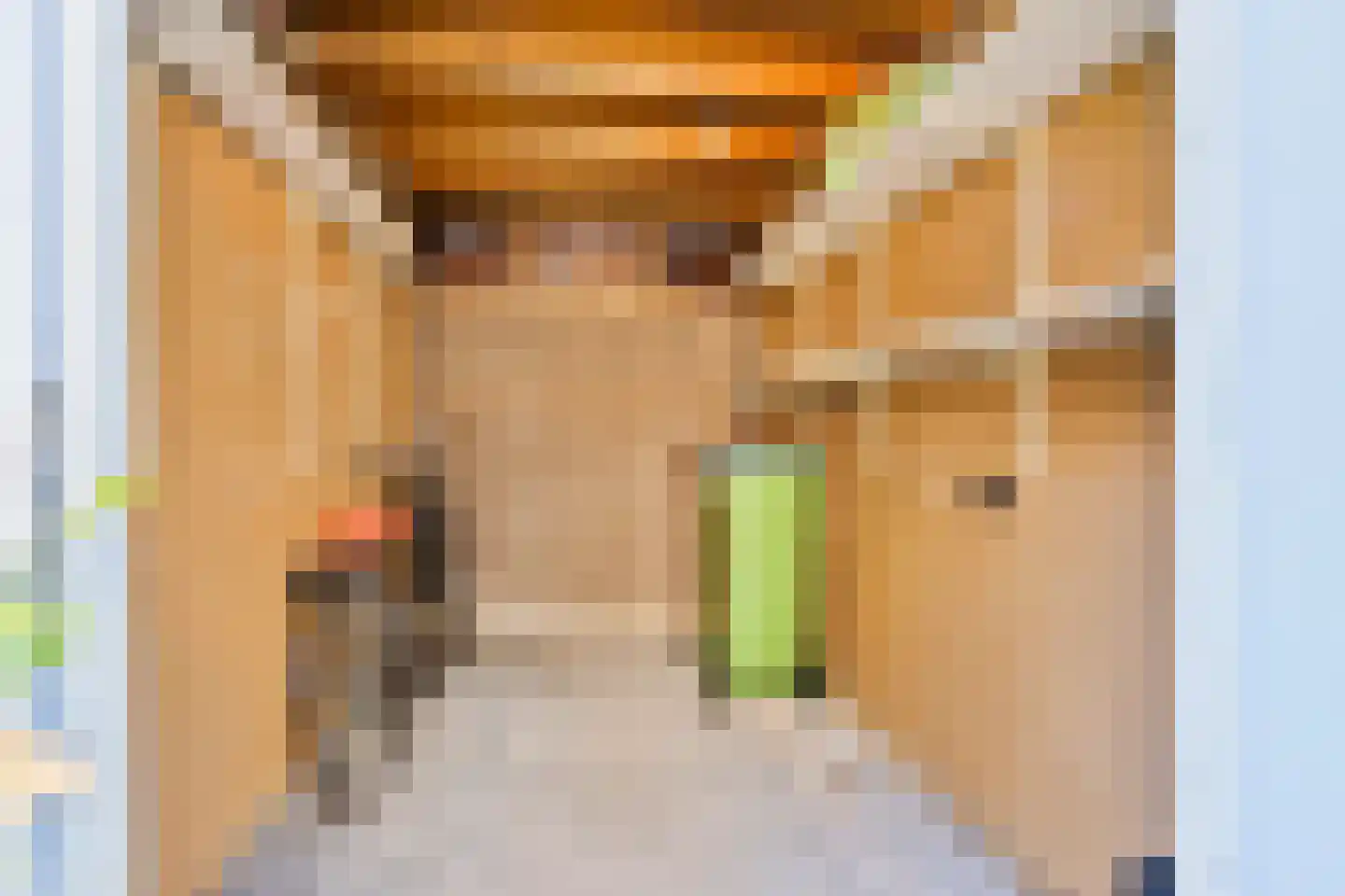 Ereprijs 17 Veenendaal thumbnail 15