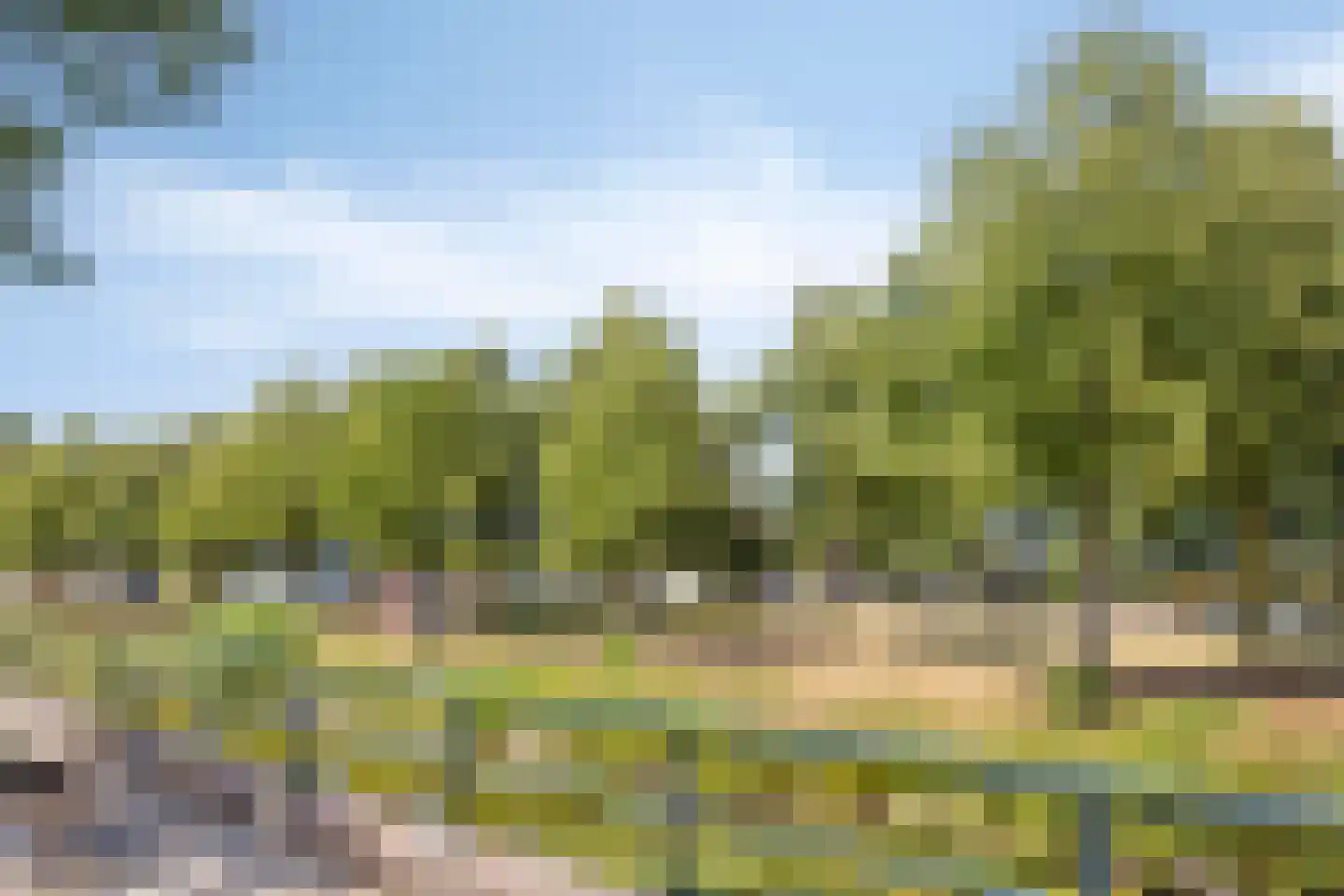 Ereprijs 17 Veenendaal thumbnail 16
