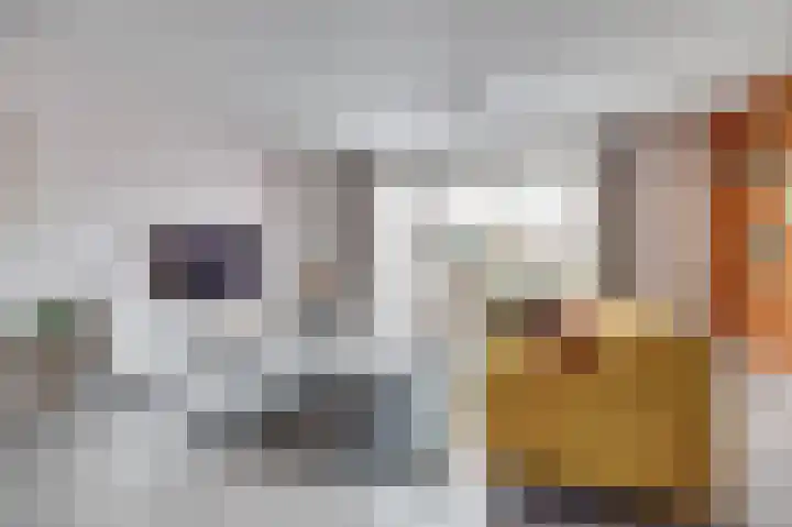 Ereprijs 17 Vlijmen thumbnail 11