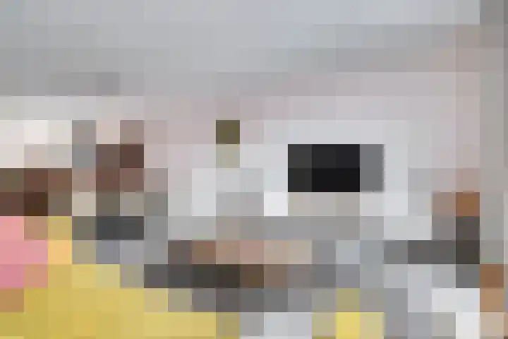 Ereprijs 17 Vlijmen thumbnail 12