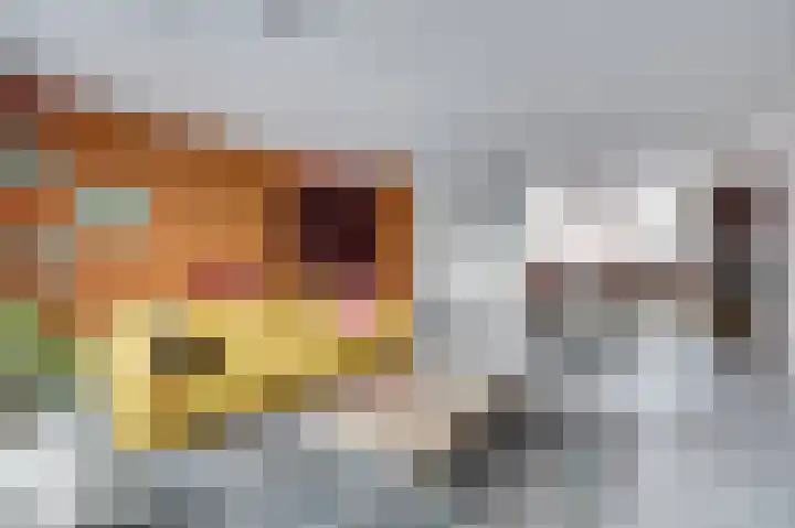 Ereprijs 17 Vlijmen thumbnail 13