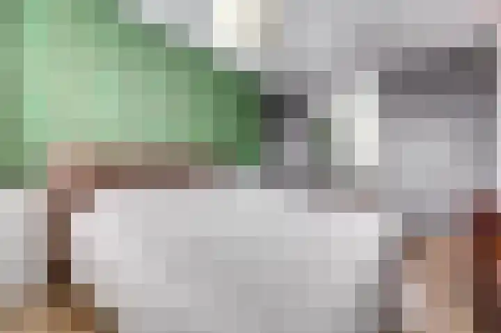 Ereprijs 17 Vlijmen thumbnail 19