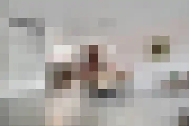 Ereprijs 17 Vlijmen foto 2