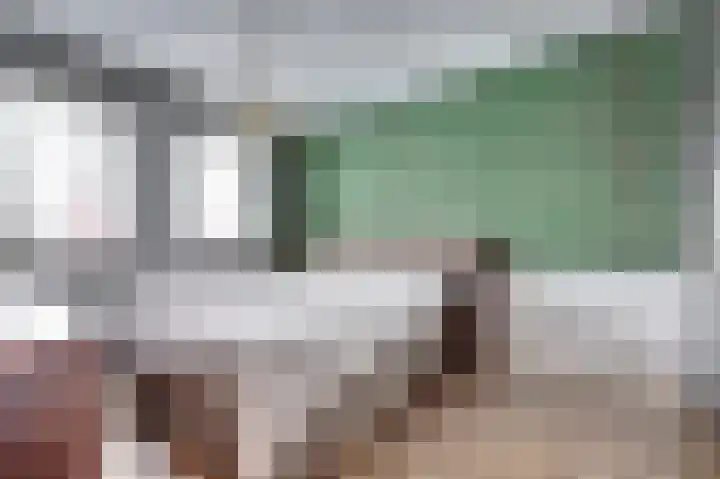 Ereprijs 17 Vlijmen thumbnail 20