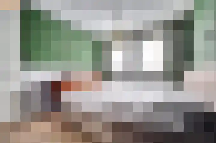 Ereprijs 17 Vlijmen thumbnail 21