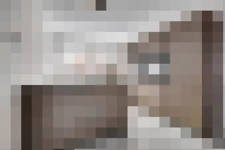 Ereprijs 17 Vlijmen foto 3