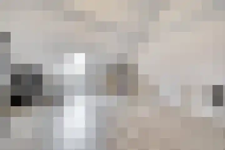 Ereprijs 17 Vlijmen thumbnail 32