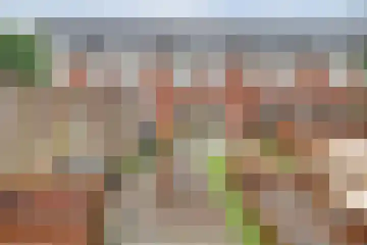 Ereprijs 17 Vlijmen thumbnail 36