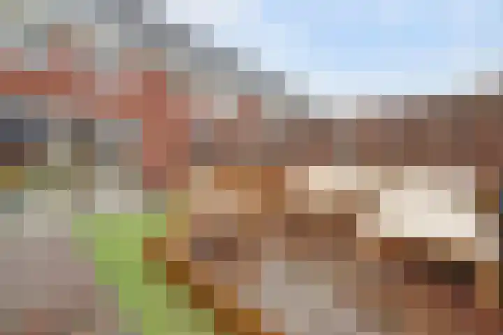 Ereprijs 17 Vlijmen thumbnail 37