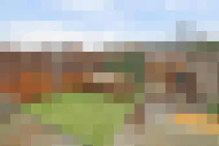 Ereprijs 17 Vlijmen thumbnail 38