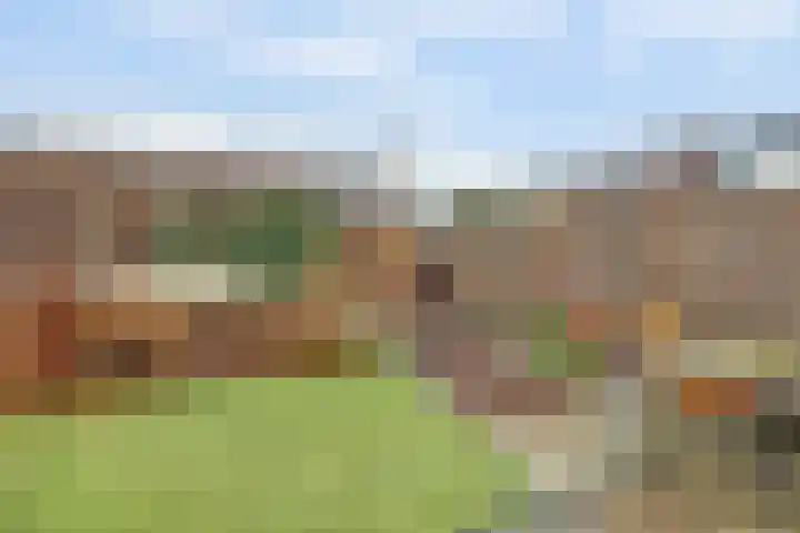Ereprijs 17 Vlijmen thumbnail 39