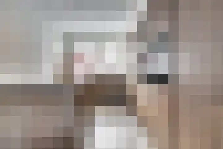 Ereprijs 17 Vlijmen thumbnail 4