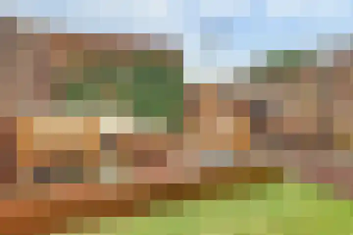 Ereprijs 17 Vlijmen thumbnail 40
