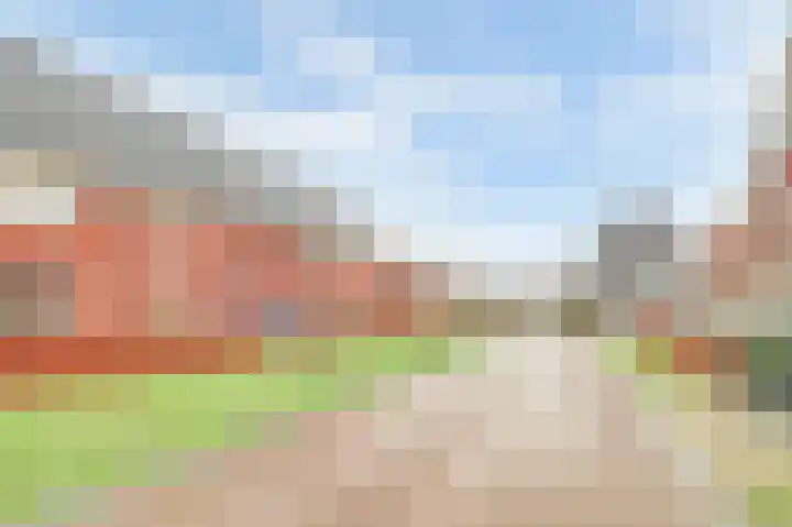 Ereprijs 17 Vlijmen thumbnail 45
