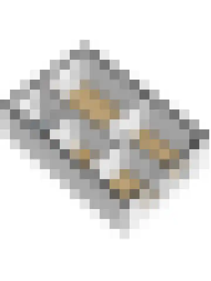 Ereprijs 17 Vlijmen thumbnail 48