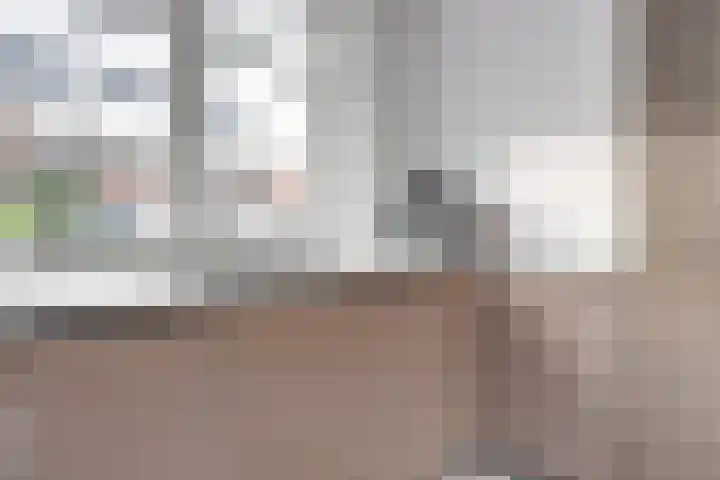 Ereprijs 17 Vlijmen thumbnail 5