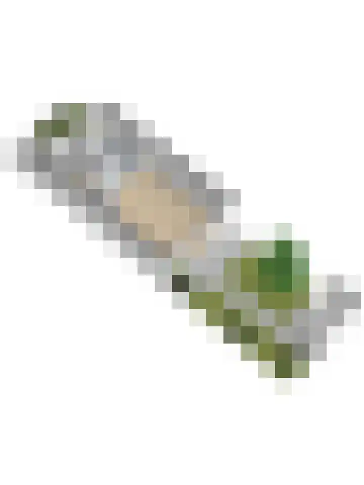 Ereprijs 17 Vlijmen thumbnail 50