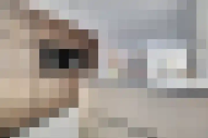 Ereprijs 17 Vlijmen thumbnail 7