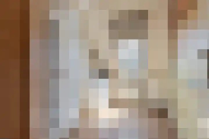 Ereprijs 18 Tiel thumbnail 17
