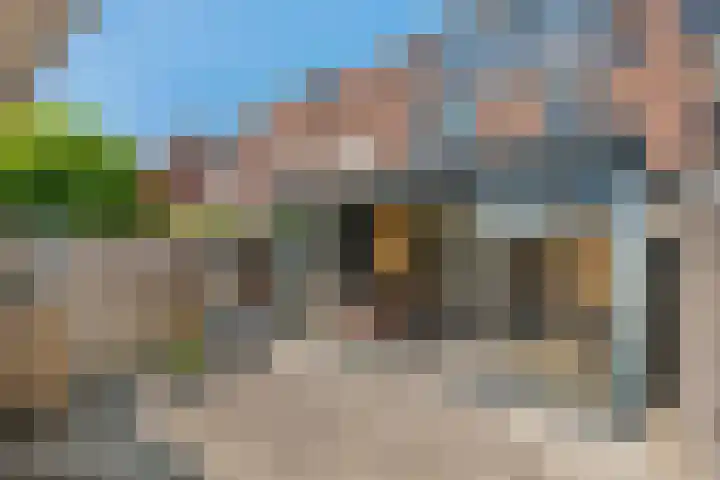 Ereprijs 18 Tiel thumbnail 24