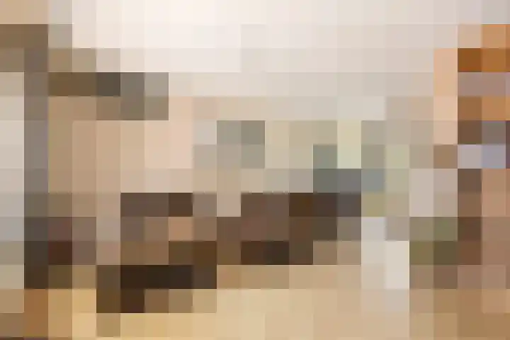 Ereprijs 18 Tiel thumbnail 5