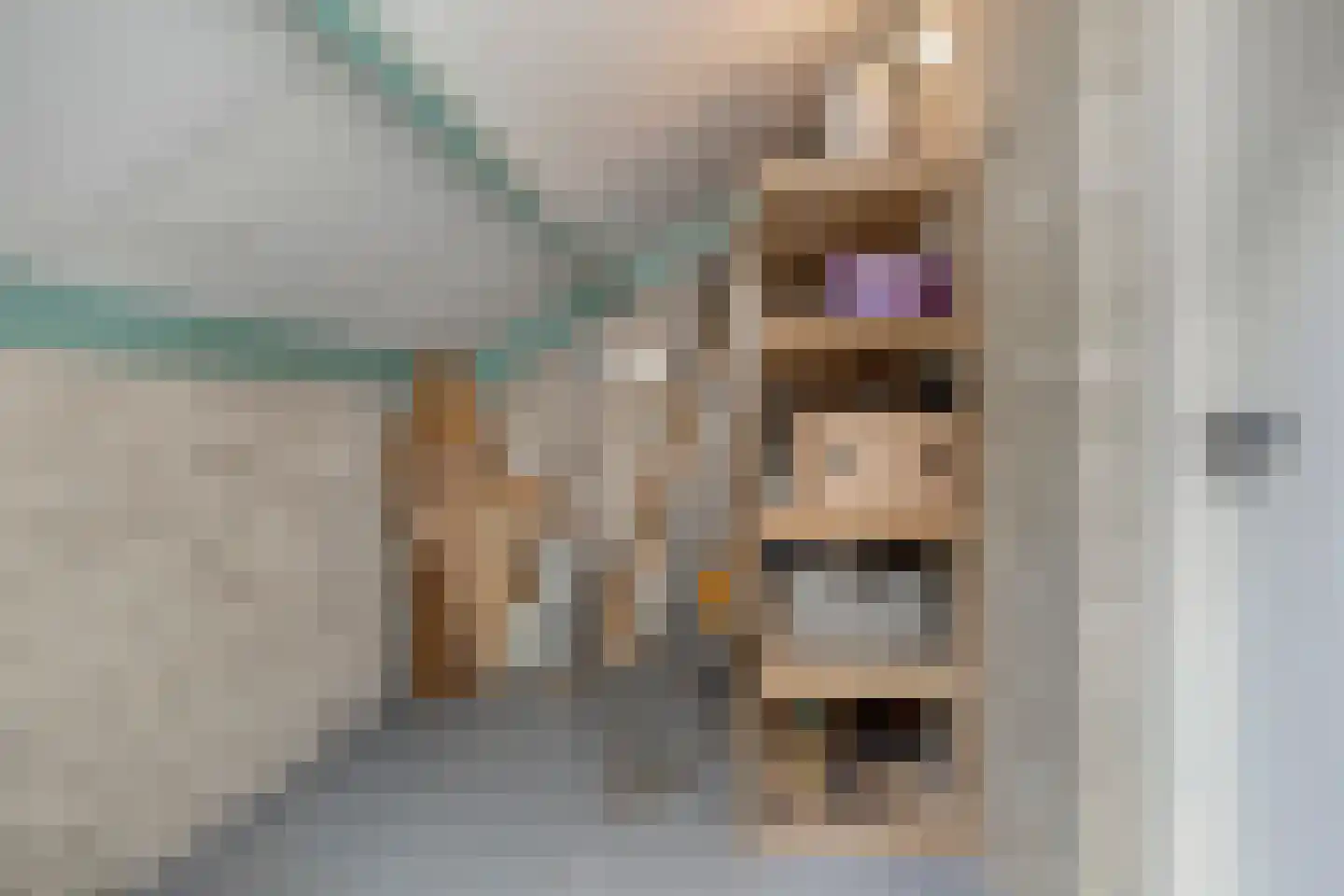 Ereprijs 2 Roden thumbnail 26