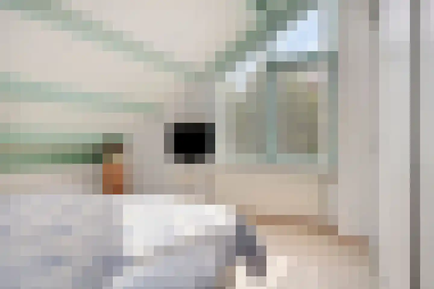 Ereprijs 2 Roden thumbnail 31