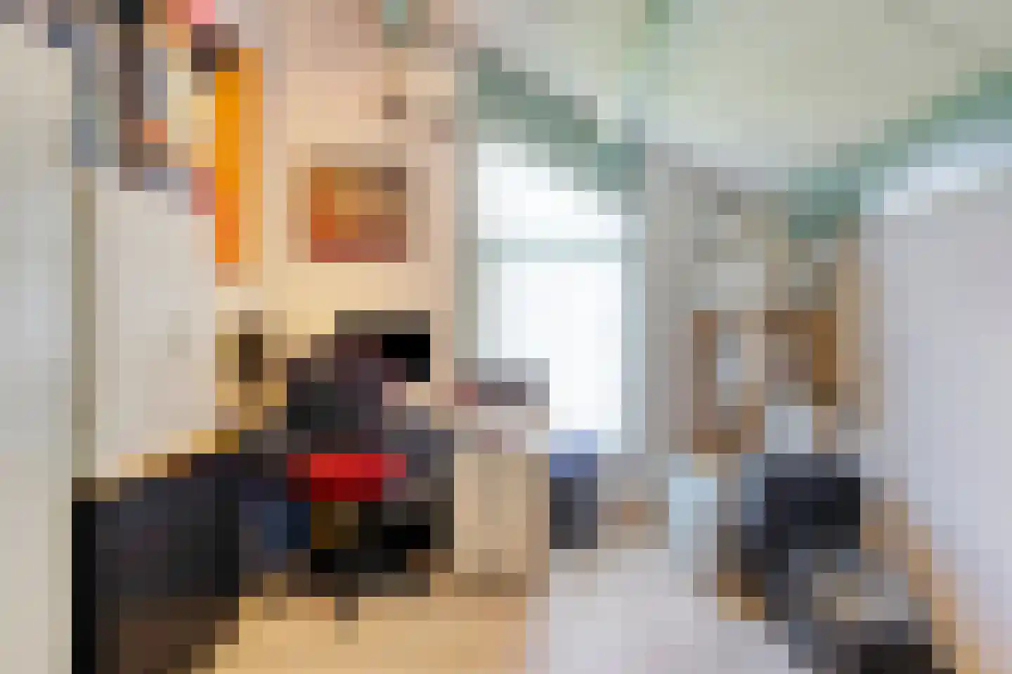 Ereprijs 2 Roden thumbnail 34