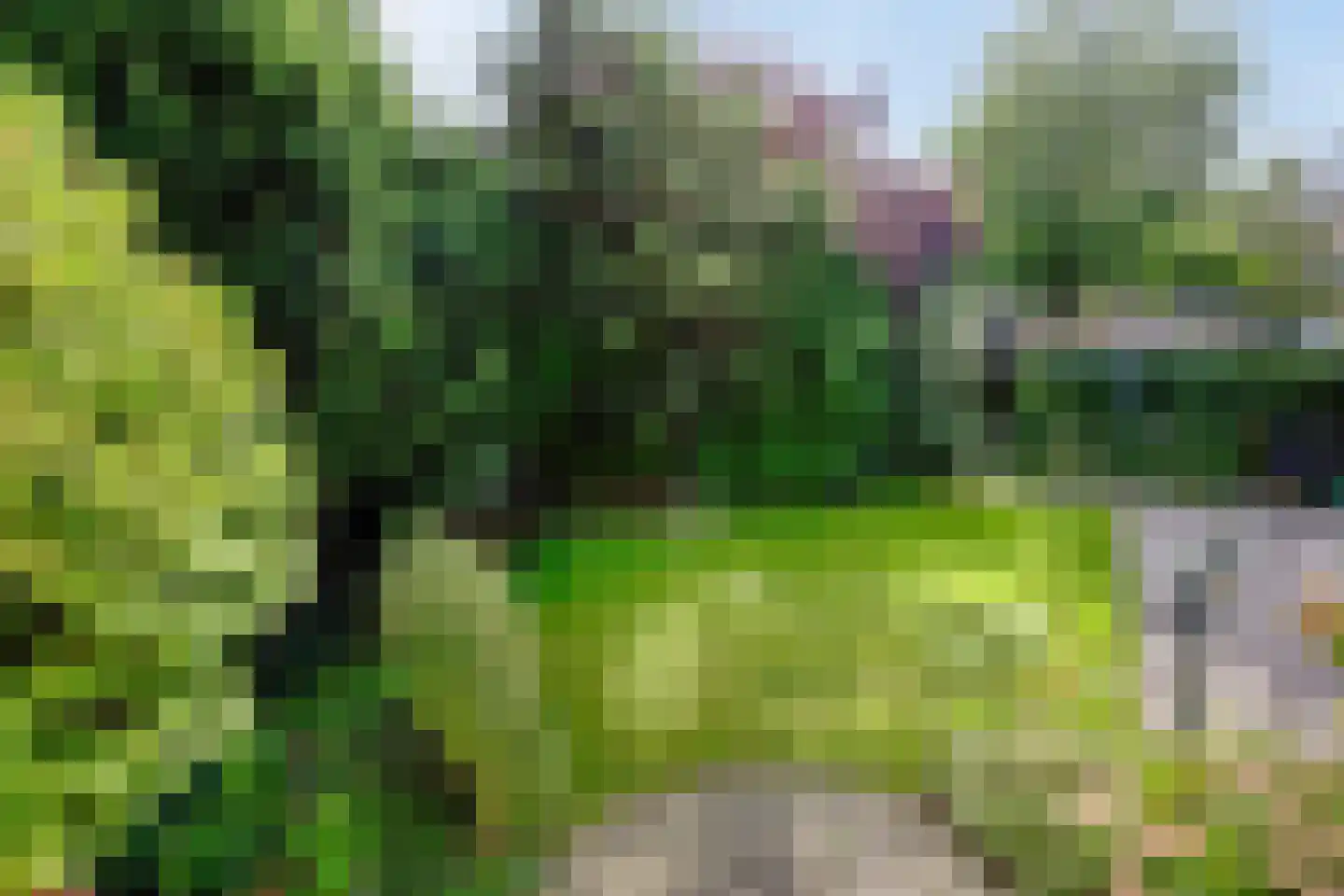 Ereprijs 2 Roden thumbnail 39