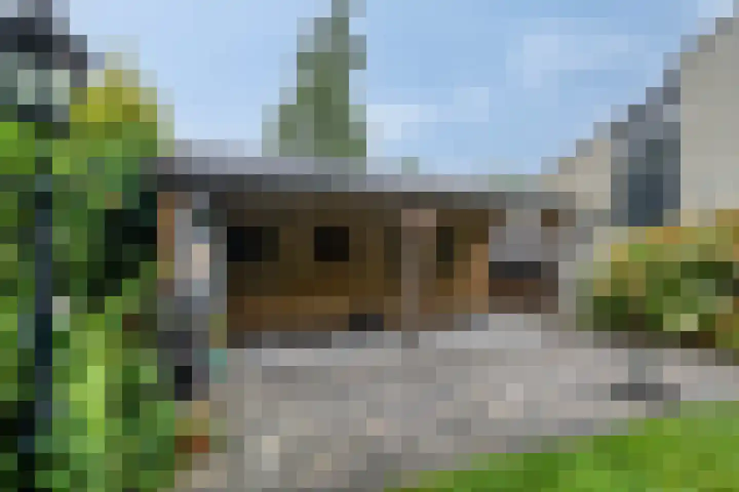 Ereprijs 2 Roden thumbnail 44