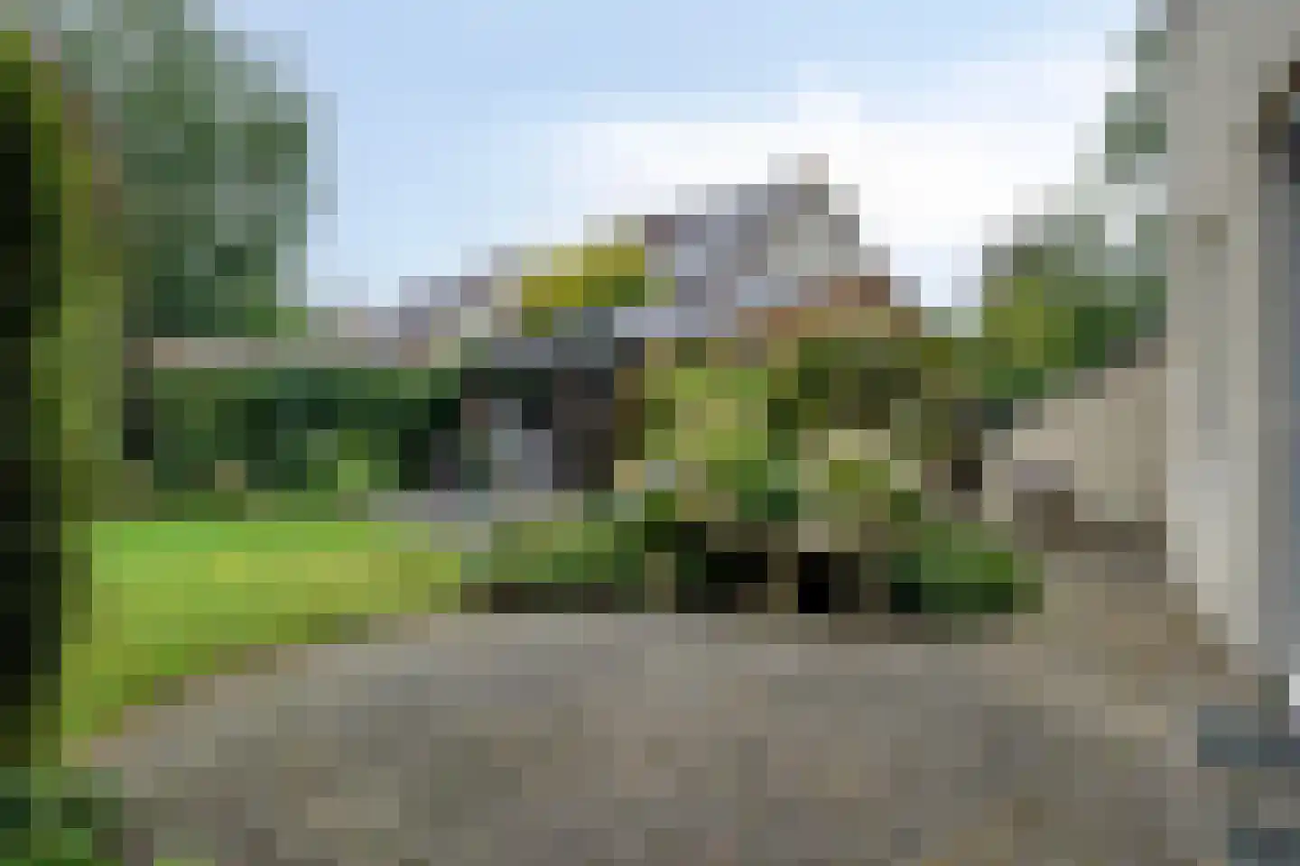 Ereprijs 2 Roden thumbnail 46