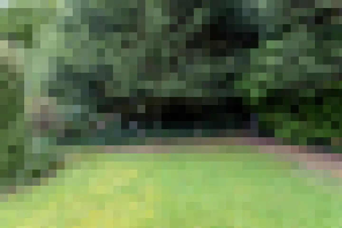 Ereprijs 2 Roden thumbnail 48