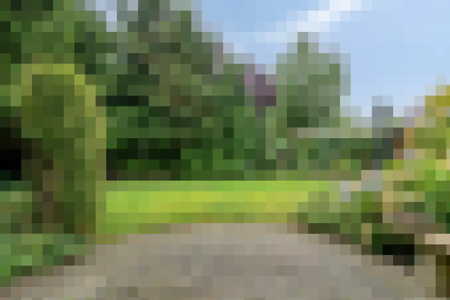Ereprijs 2 Roden thumbnail 5