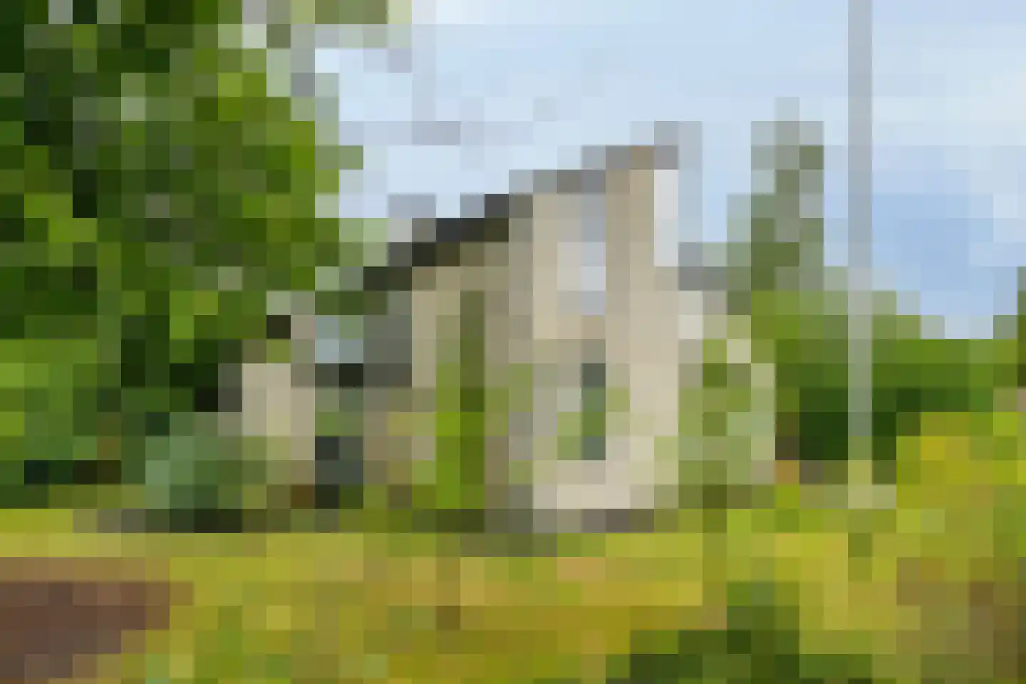 Ereprijs 2 Roden thumbnail 50