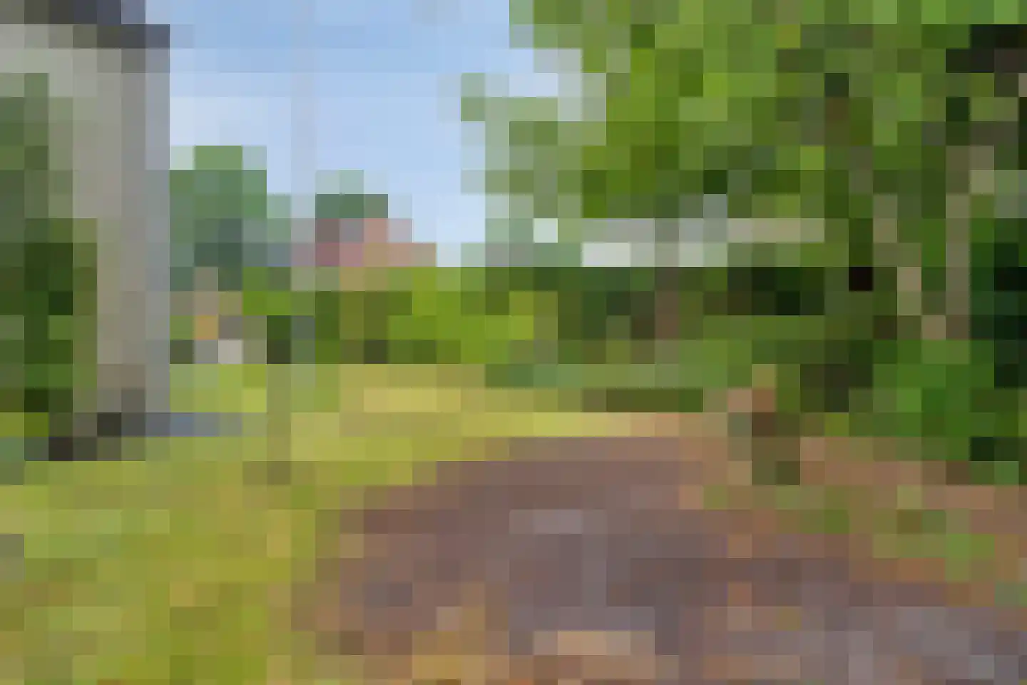 Ereprijs 2 Roden thumbnail 53