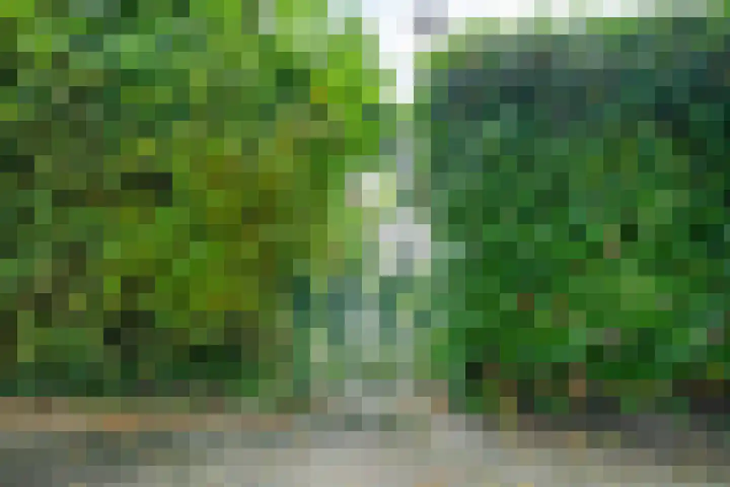 Ereprijs 2 Roden thumbnail 54