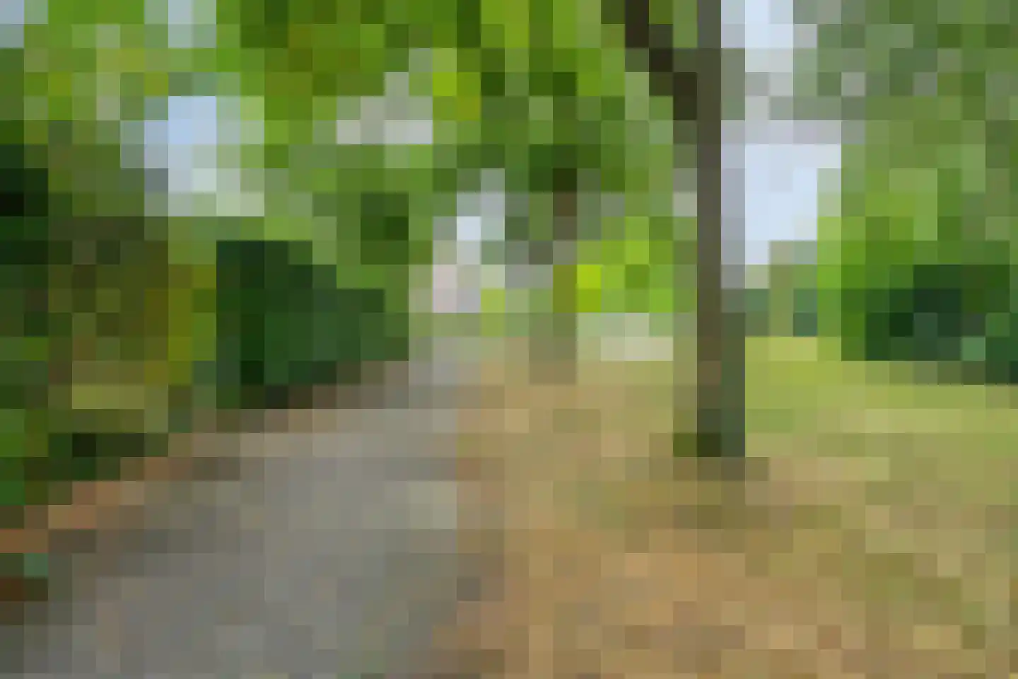 Ereprijs 2 Roden thumbnail 55