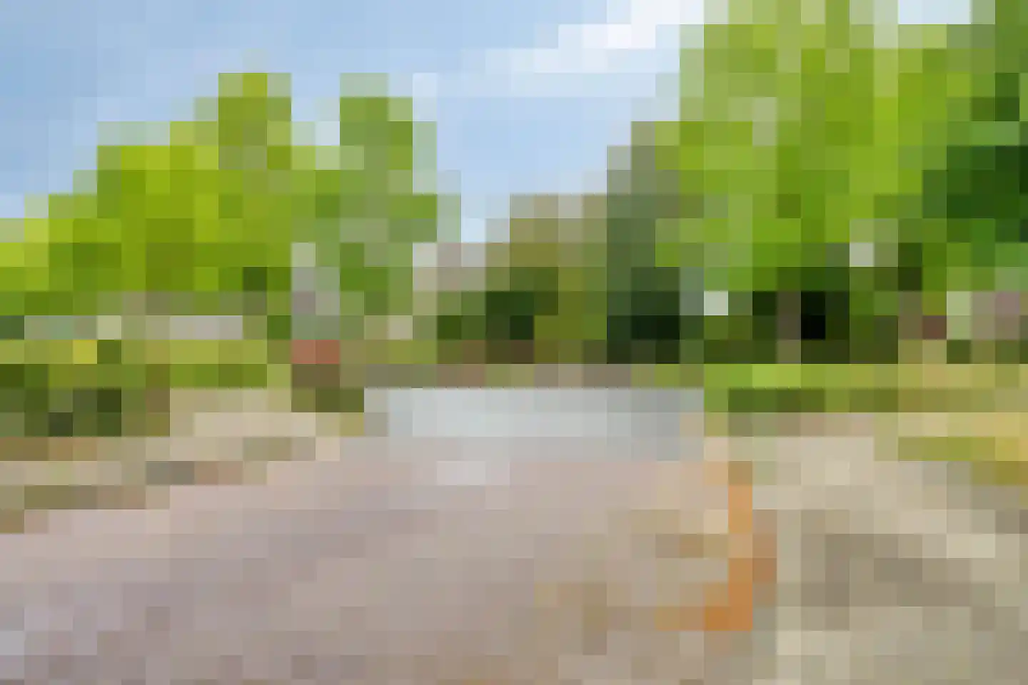 Ereprijs 2 Roden thumbnail 57