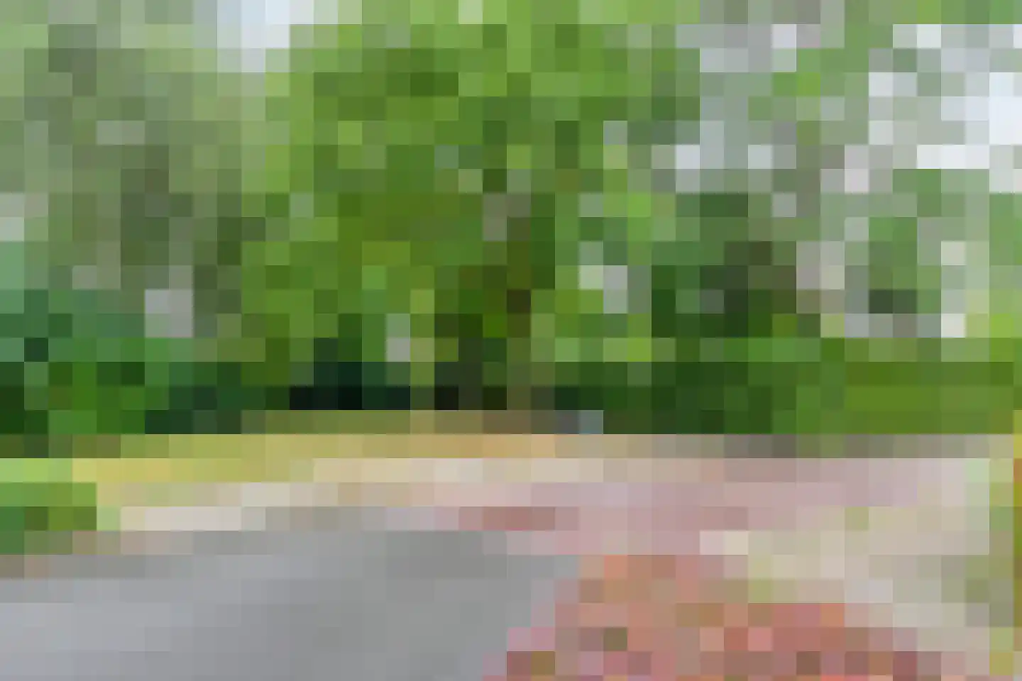 Ereprijs 2 Roden thumbnail 58