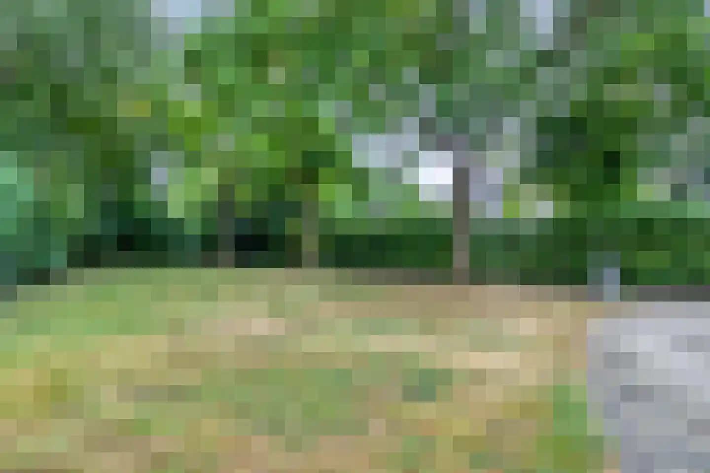 Ereprijs 2 Roden thumbnail 59