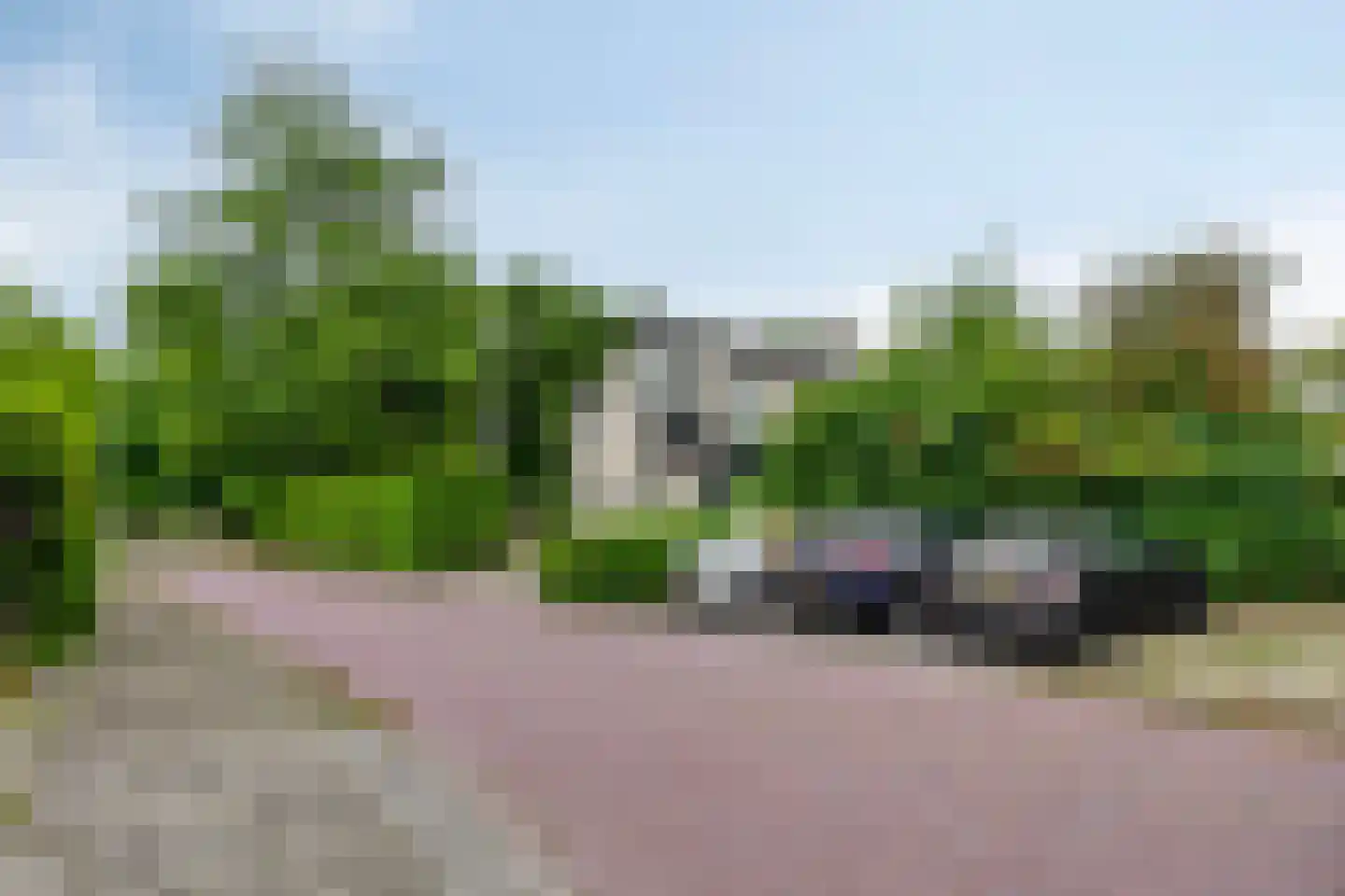 Ereprijs 2 Roden thumbnail 60