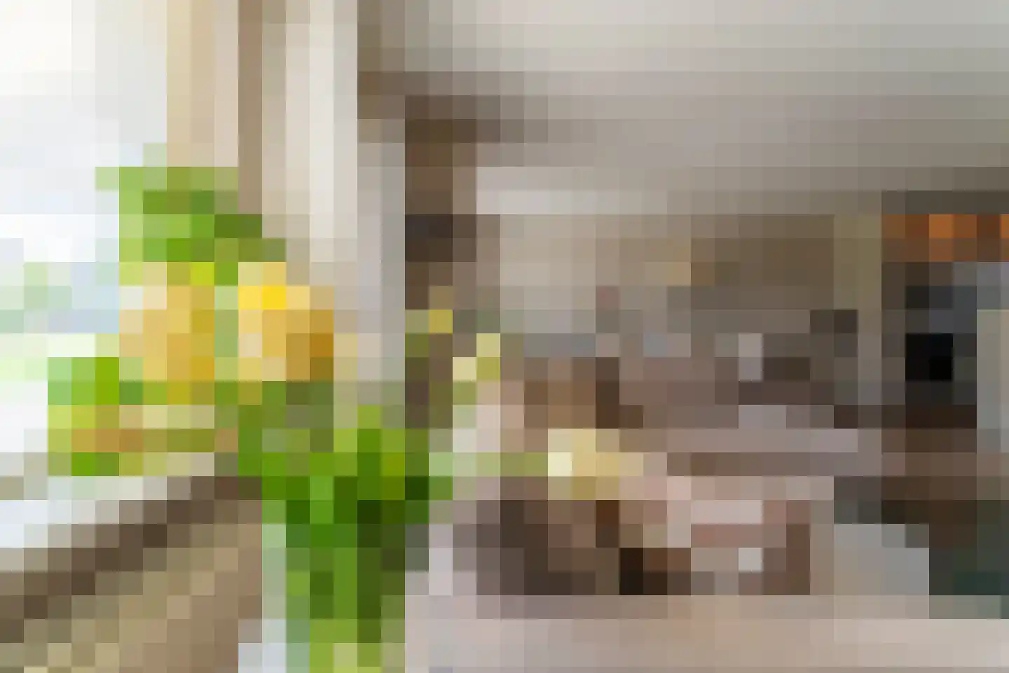 Ereprijs 2 Veenendaal thumbnail 11