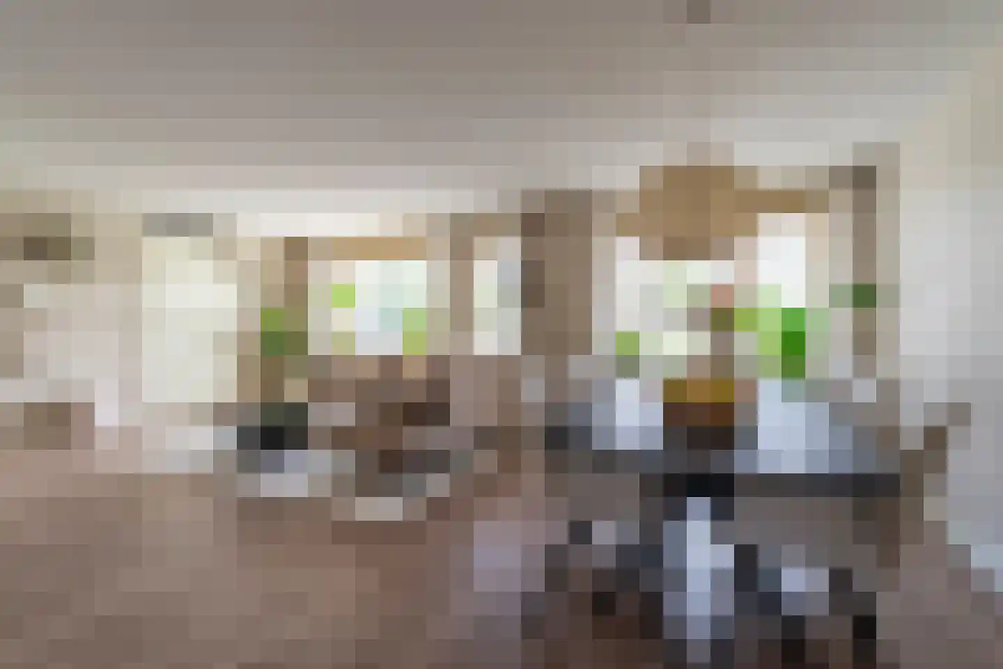 Ereprijs 2 Veenendaal thumbnail 19